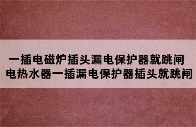 一插电磁炉插头漏电保护器就跳闸 电热水器一插漏电保护器插头就跳闸